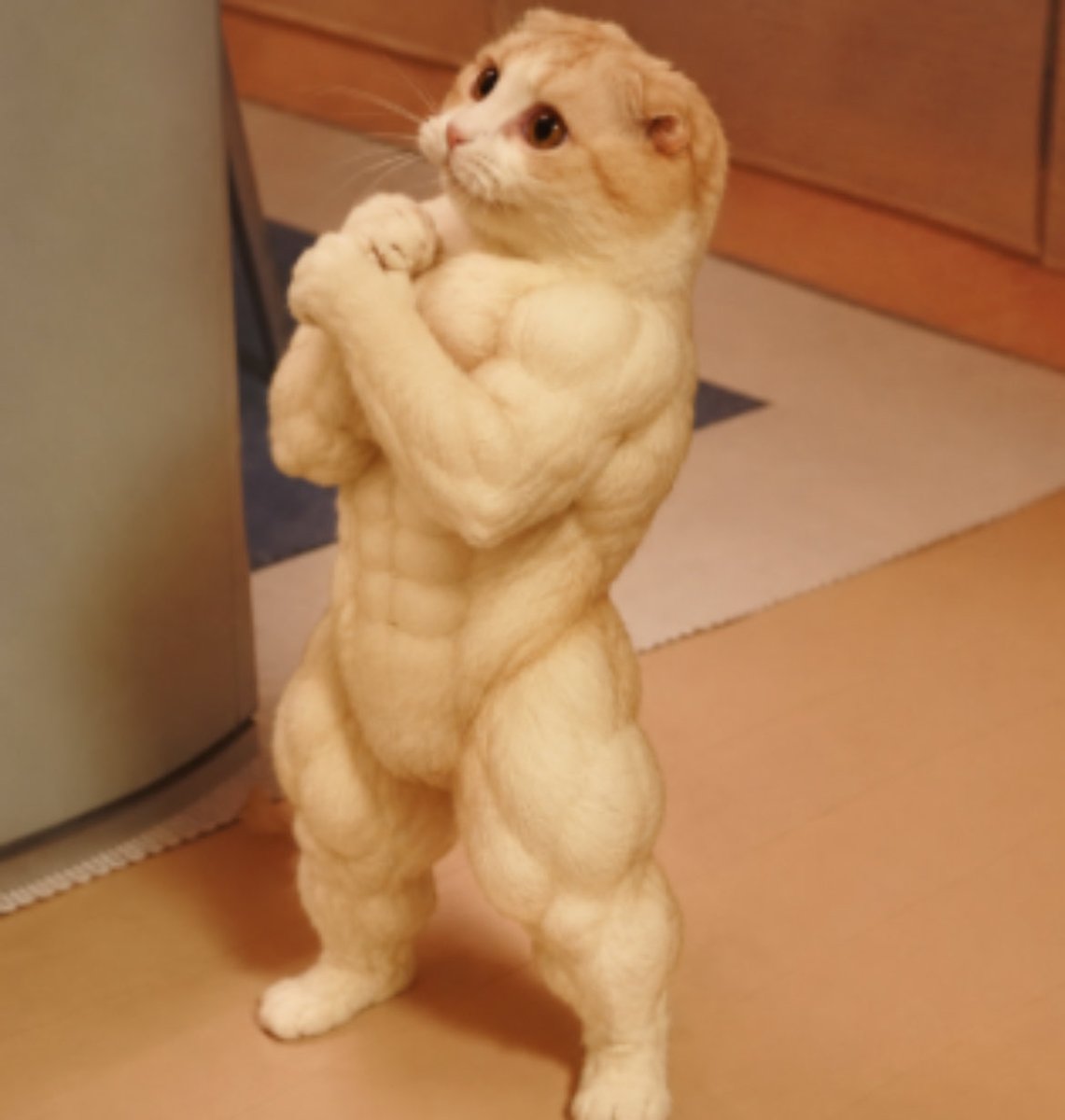 AmericaaFckYeah's tweet photo. @MemeRetire Easy. The 1st cat meme in crypto. $lolcat

Ready to pump https://t.co/RTkvOcV3uS