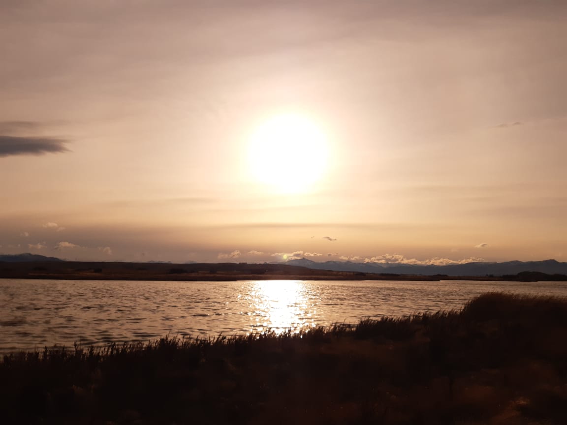 MartaQuan1's tweet photo. Hoy vi al sol y senti una lucecita que hoy haz dejado en mi vida mi pequeño corazon que se fue con mi Dios.

Hoy veo al cielo con fe de verte en otro amanecer.

Le hable al viento y el aire me abrazo otra vez.

Eres un Ave Fenix que volvio al cielo en un bello amanecer.

Mi Bebe. https://t.co/e7yNXuzCzs