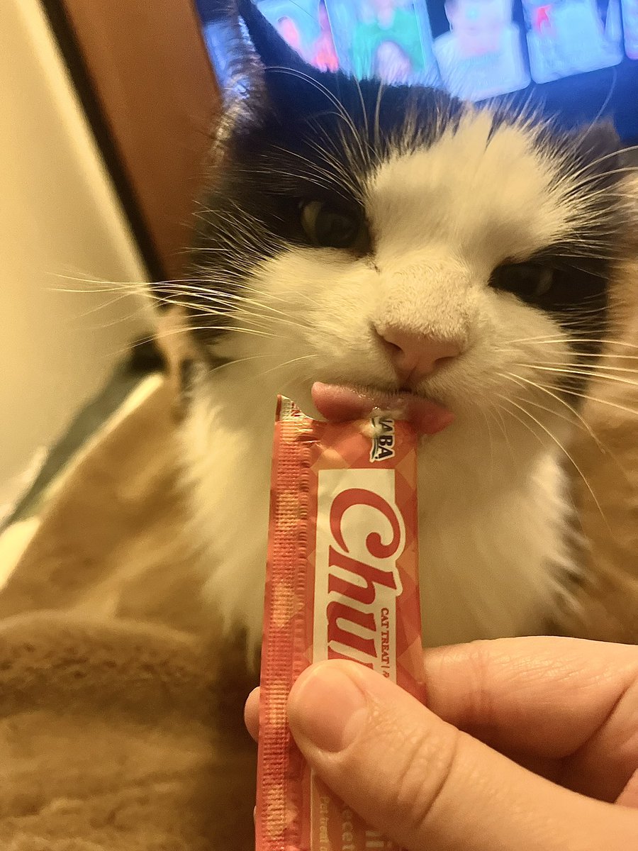 littlebugcat's tweet photo. this is a certified Tube Moment™ https://t.co/qTO5hbp3JY