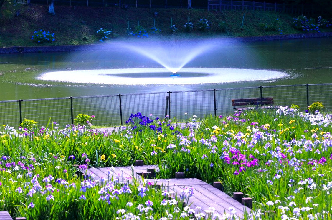 MerveDAltuntaas's tweet photo. 桜の森〜(⸝⸝ ´艸`⸝⸝) https://t.co/7Ix88RyZbA
