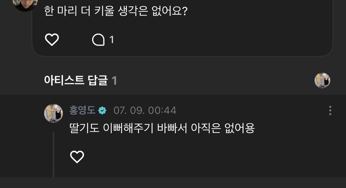 아란 tweet media