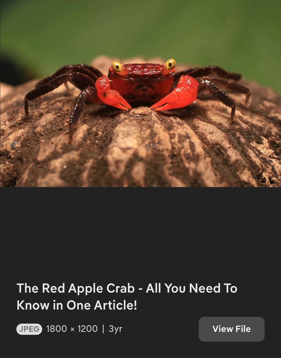 Special7Ed's tweet photo. @Hemmels @reddit_lies Green apple crabs don't exist. https://t.co/u4ojqUcPIF