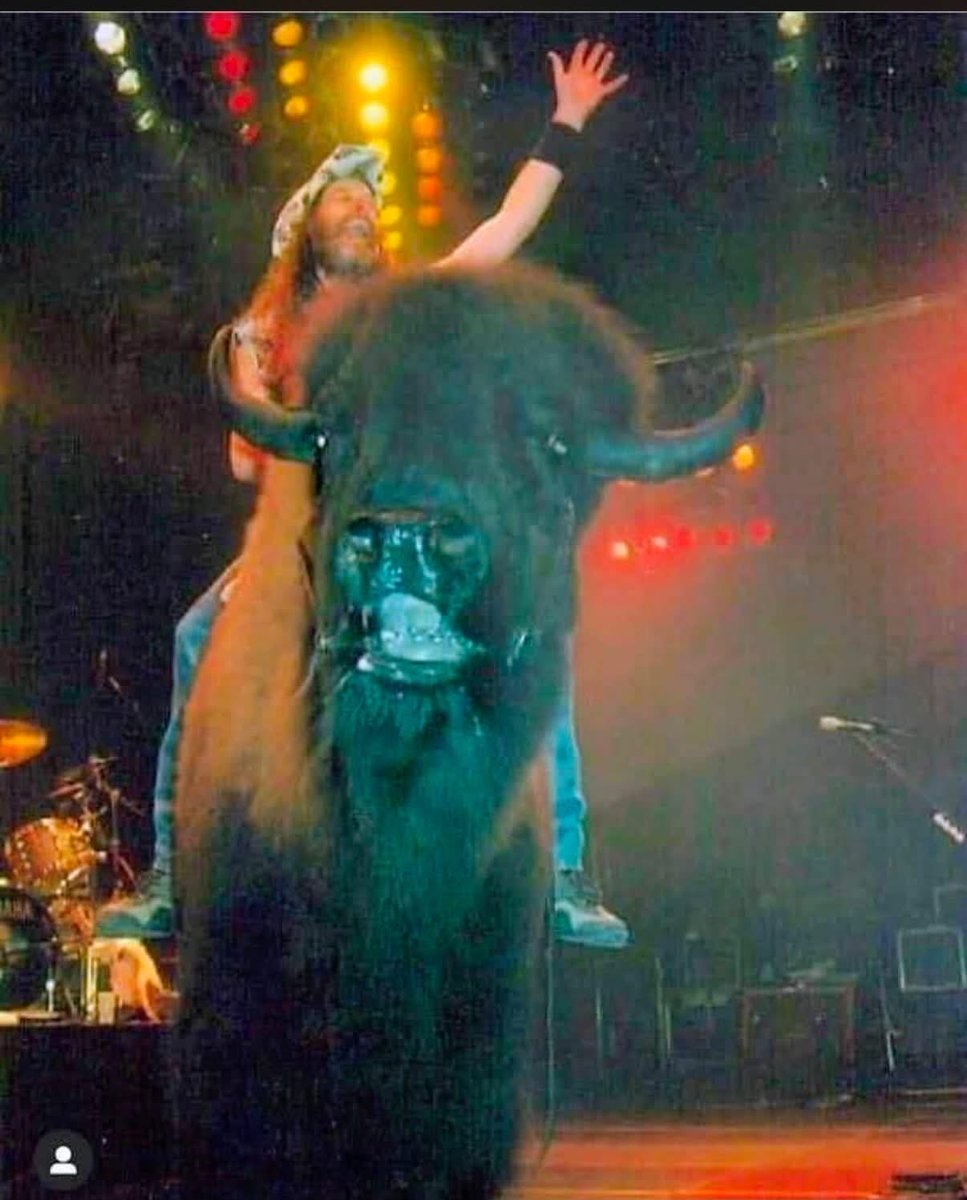 TedNugent's tweet photo. “Bones heal, pain is temporary, and chicks dig scars” — Evel Knievel https://t.co/QedN0spavm