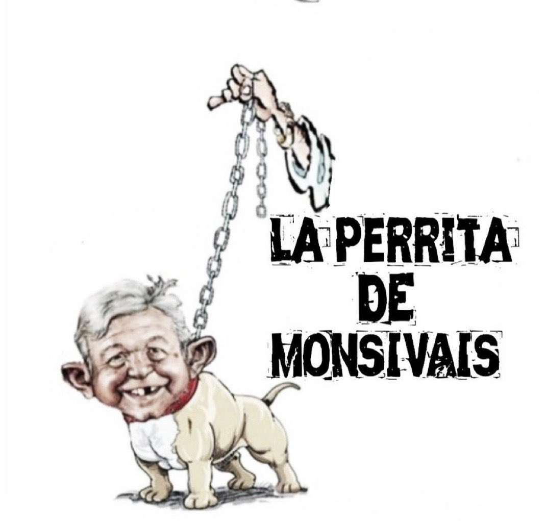 caopirucho's tweet photo. @Jesus163429 @SinLinea_Mx Nop, en realidad el m popular es la perrita de Monsiváis https://t.co/QdnSY43rKS