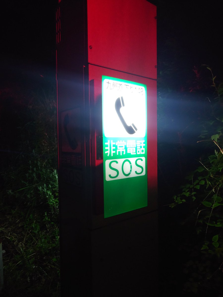 なかなかない経験だぞ🚨