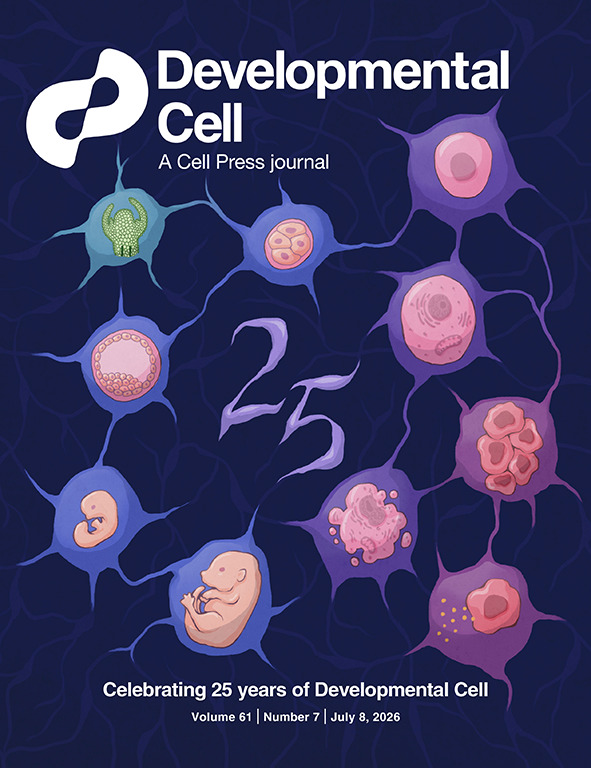 Developmental Cell tweet media