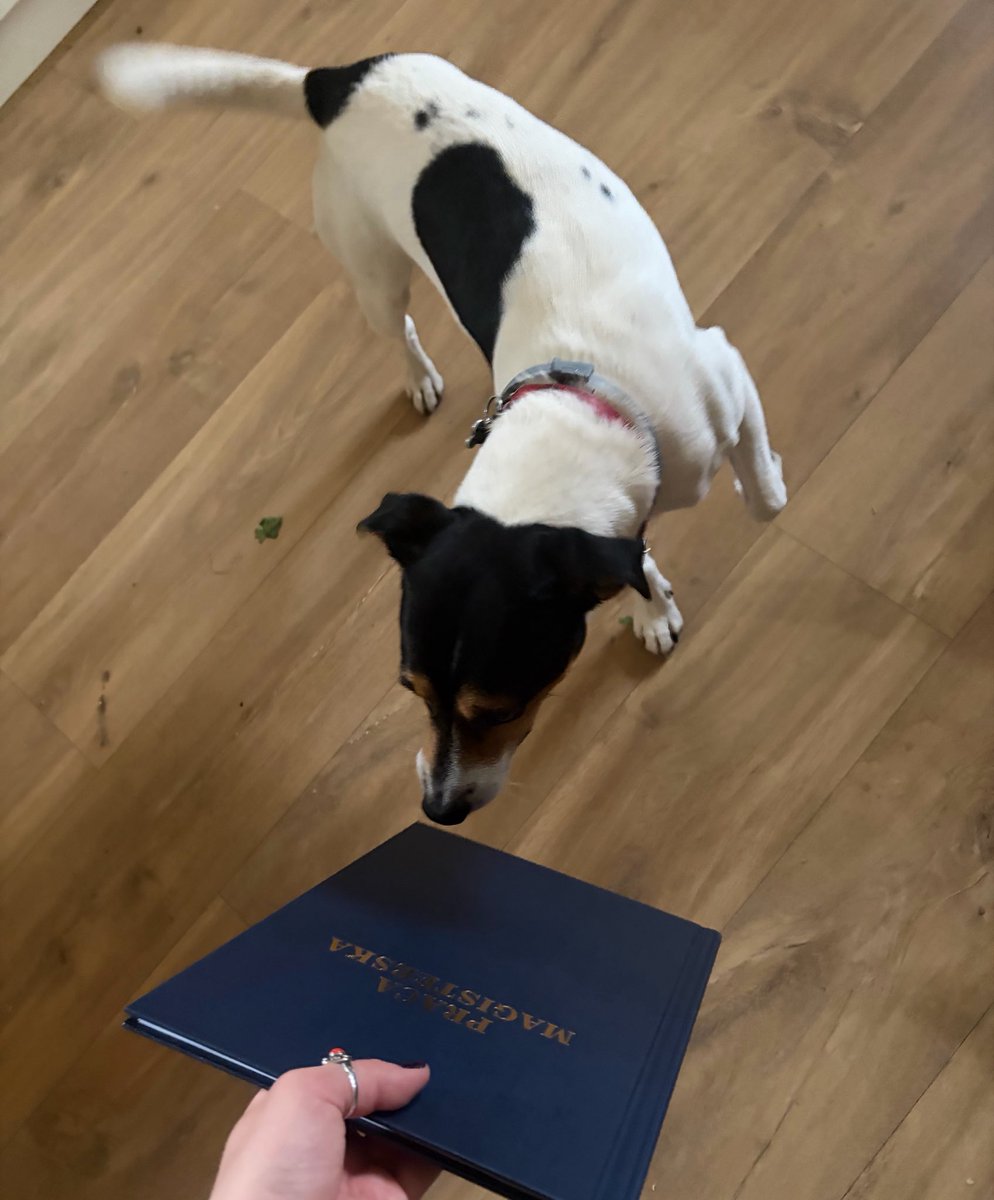 SYLVAlNGF's tweet photo. pokazuje moim zwierzakom rzeczy których nigdy nie widziały: praca magisterska https://t.co/oTGf3QFJQQ
