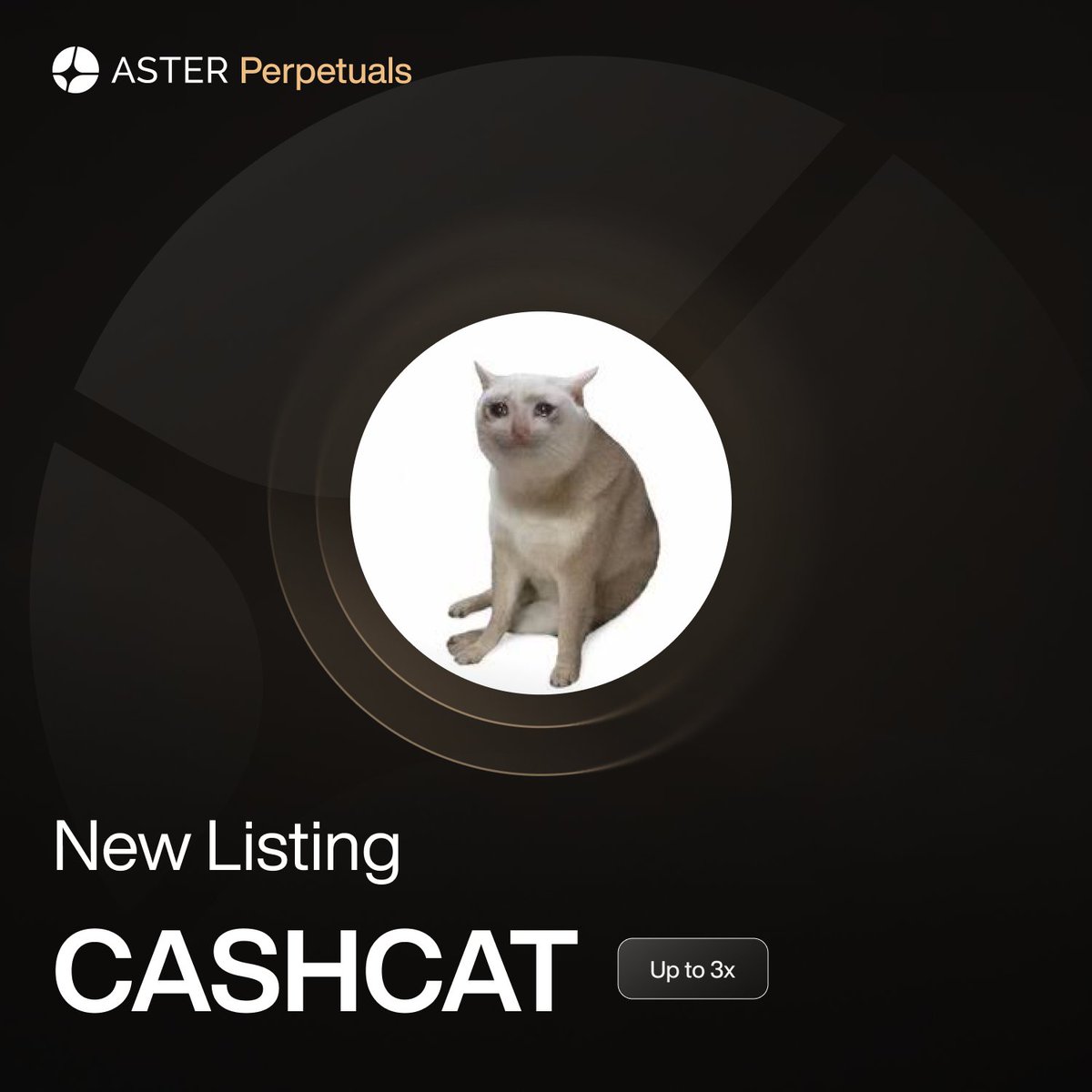 Cashcat tweet media