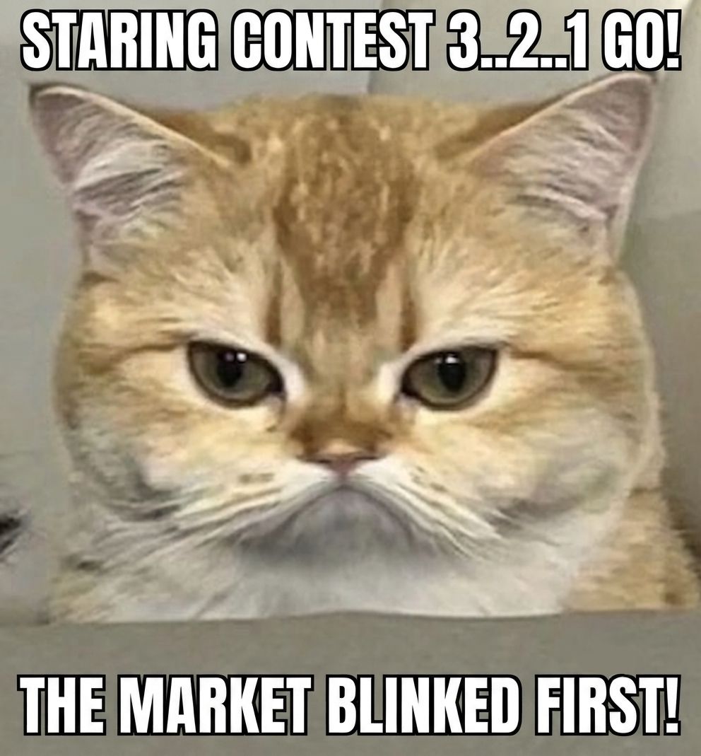 Dwane400's tweet photo. The contest is on!! The weak gets stared out of the chart 📈. Stare on $Starecat. https://t.co/isuoeC3m7U