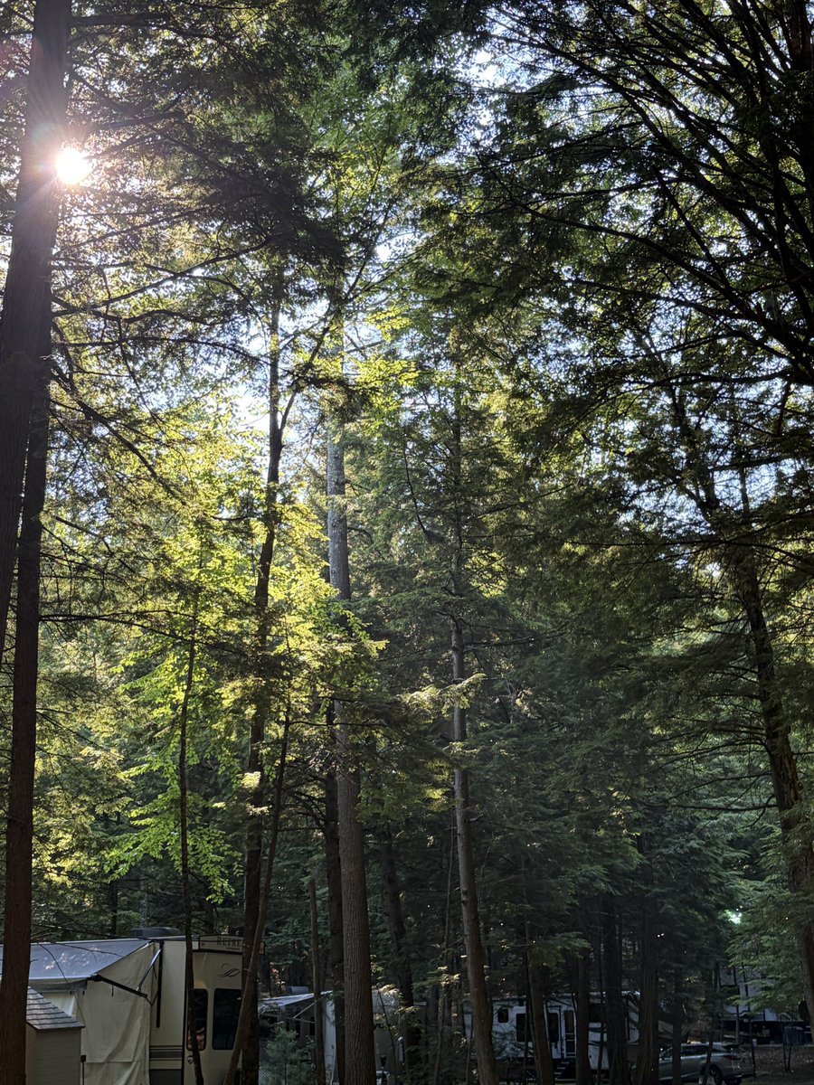 indiardb's tweet photo. Some photos from my trip last week! https://t.co/F8DQcMjCGq