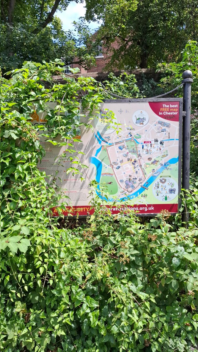 SCoaty's tweet photo. Walking into Chester from Watergate car park. Look at the state of it. You can only see ½ of the map &amp; have to walk around the weed growth. @SamanthaDixonMP @Go_CheshireWest @ShitChester https://t.co/kYOp7gOcyF