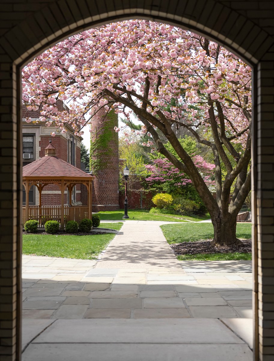 ionauniversity's tweet photo. A quiet summer campus ☀️ https://t.co/2Z6DQWcREe
