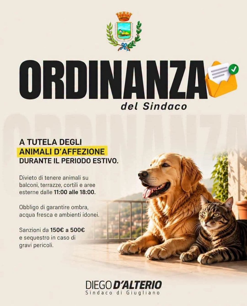 rumba_magica's tweet photo. Intanto a Baricella https://t.co/h6lsy5GpQV