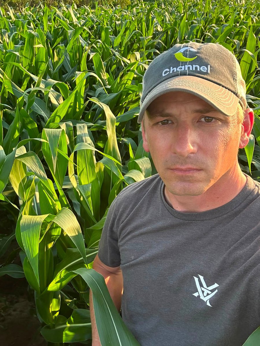ChannelSeed's tweet photo. Knee high by the Fourth? Based on these photos, we'd say plenty of Channel fields are giving that old saying a run for its money.
Here's to a safe summer and a successful #Grow26. Thanks for letting us be part of the journey! #ChannelingUp https://t.co/SNG7ePgwew