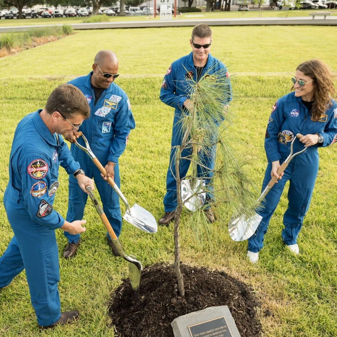 featherglow_'s tweet photo. Is that tree even still alive?🤣😅Artemis crew
#christinakoch #victorglover #reidwiseman #jeremyhansen #artemis #nasa https://t.co/NTo5hCmfKb