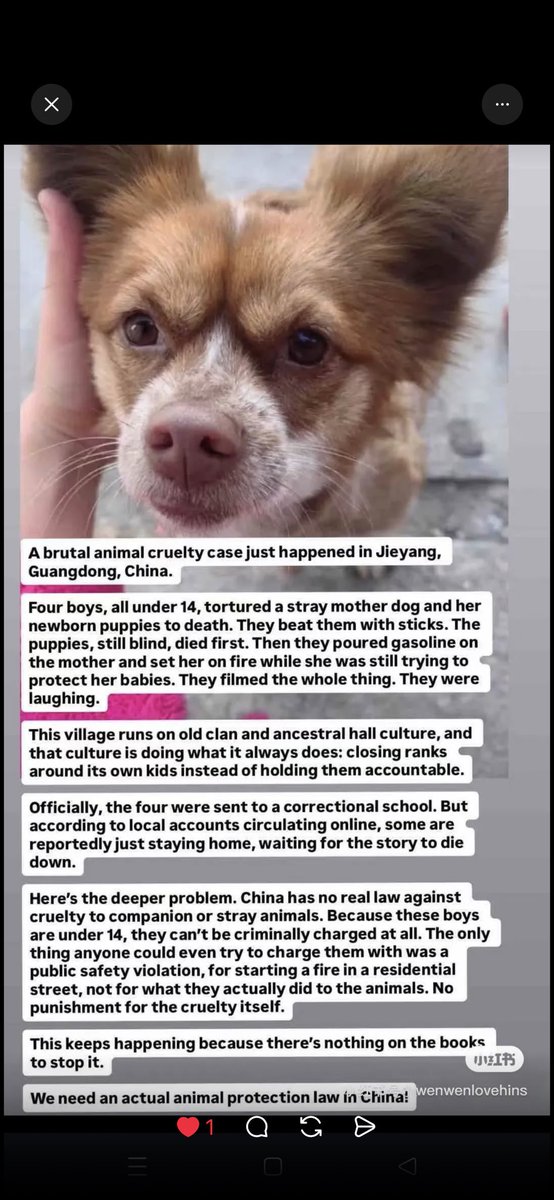 darkfloyd1014's tweet photo. 當去到一啲極度兇殘對生命踐踏嘅事，我身為做安全，一定要企出來。四個所謂小學生，將手無寸鐵嘅狗狗加埋佢三個BB，監生打死同埋燒死，簡直係人神共憤，佢嘅相片同埋佢嘅名字已經流傳喺網絡上面。

對於兇手，係絕無私隱可言，甘地同愛因斯坦，都分別對動物嘅生命非常重視，甚至乎一個地方文明與否，就係睇佢對待動物係如何。

人最珍貴嘅地方就係有良知，和有保護生命的決心維護弱小生命嘅權益。不會以人類為最所謂的最高等的動物，濫殺無辜。

剛剛廣西的水災，說明了廣西多年的玉林節，殺害狗狗放在餐桌上，最終得到因果報應。

###
從廣東揭陽虐狗案在網路發酵後，中國境內相關討論隨即出現遭到限流，更讓人感到這個體制對於弱勢生命的冷漠。當受害者無法被看見，討論無法被延續，苦難便失去了被救贖的機會。

一個社會若對弱勢族群只有壓榨、漠視與封鎖，那麼所有悲慘的事件，終究只會淪為人們茶餘飯後短暫談論的話題，隨著時間被遺忘。

令人絕望是當殘忍發生時，沒有人能真正挺身而出，也沒有人能夠捍衛生命最基本的尊嚴，以及人性最後的希望。

This is absolutely inhumane… Those responsible must be held accountable.

Please search for the Jieyang stray dog incident.

Videos circulating online appear to show four minors in Guangdong brutally torturing and killing a stray mother dog that had just given birth. The footage shows the puppies being beaten to death with sticks, their eyes being stabbed, and one puppy’s head being crushed underfoot. The mother dog desperately tried to protect her babies, but was repeatedly beaten, doused with fuel, and burned alive.

As the Jieyang dog abuse incident continues to spread online, villagers are reportedly retaliating against internet users by carrying out the mass killing of stray animals, including puppies and kittens.

Warning: The videos are extremely graphic and disturbing. Please be prepared before watching.

Please help share this incident so it reaches the international community. Animal cruelty should never be ignored, and those responsible must be held accountable.

#2026JieyangStrayDogIncident
