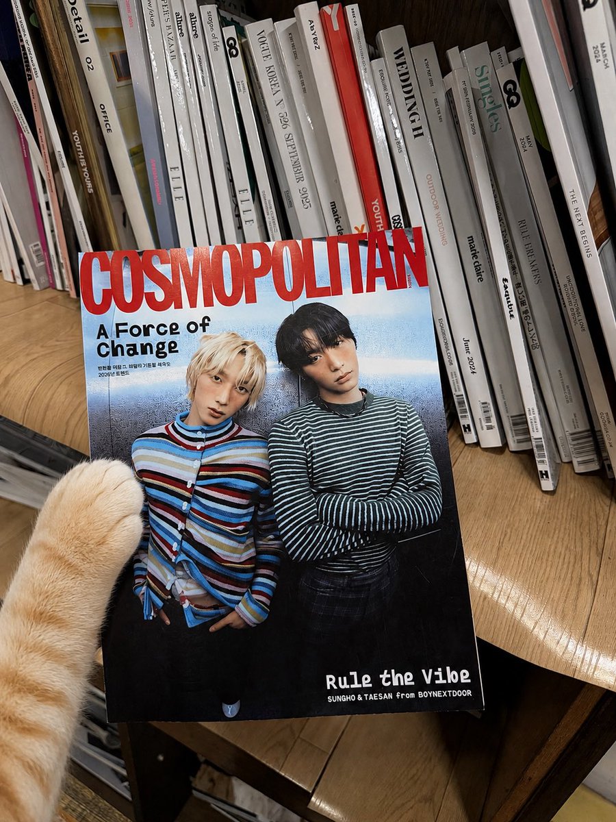fluffysnowday's tweet photo. 엄청오랜만에근황.. https://t.co/RCA5tGdi2s