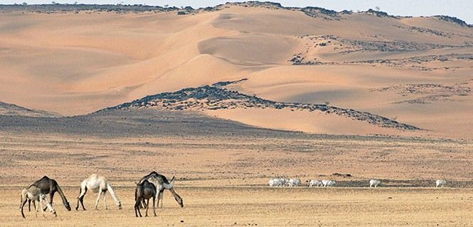 Tafsit's tweet photo. #Mali-ren infernura jaitsiera.
https://t.co/x1demESkn7 https://t.co/gCSfIH1Nw4