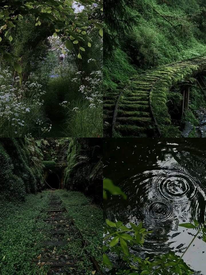 elemmiressoul's tweet photo. dark-green. https://t.co/7kHWUJ7d66