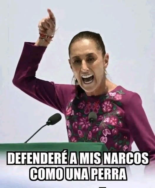 Jonathanjach's tweet photo. @Claudiashein Pinché perra https://t.co/lenJobAWBY