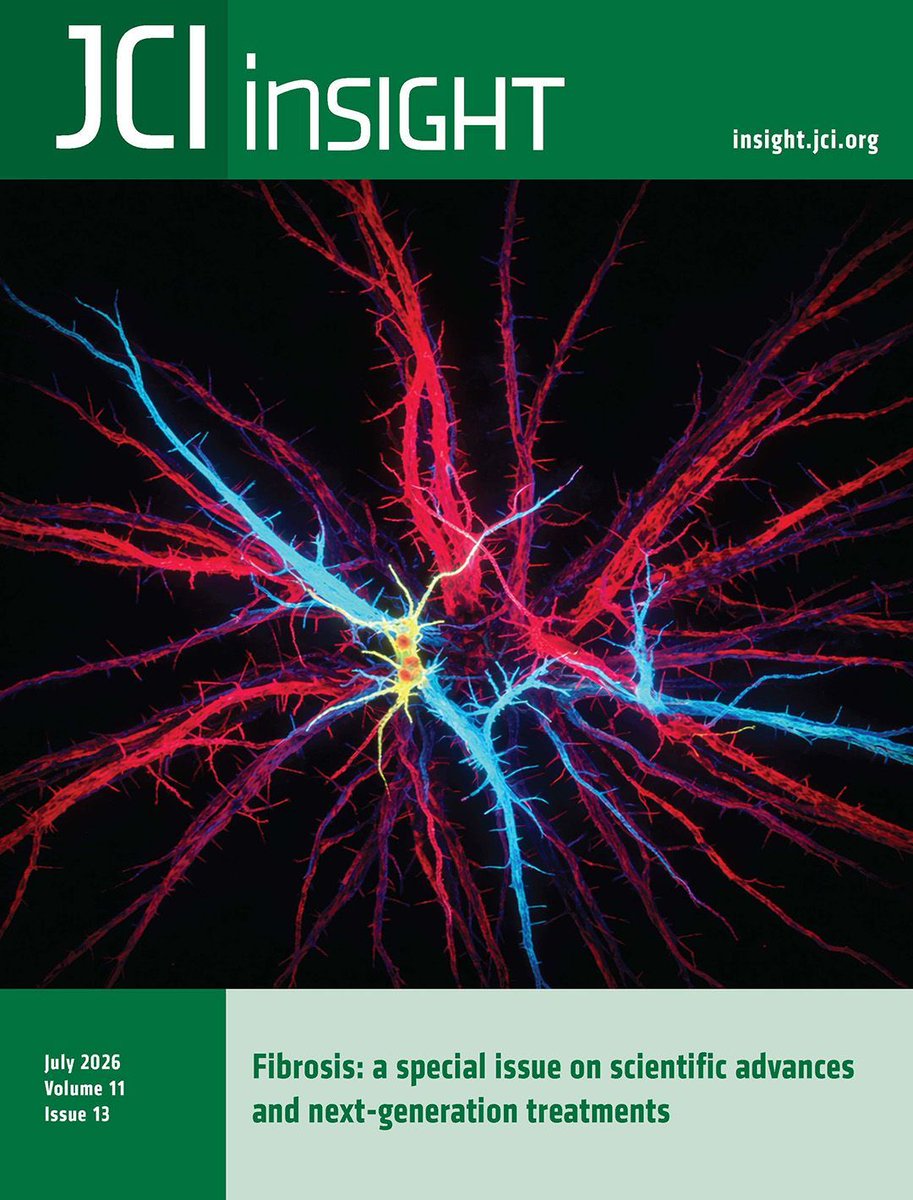 JCI_insight's tweet photo. 📗Special Issue on #Fibrosis!
Presenting original research and review articles that spotlight fibrosis across organs, including mechanisms underlying onset, progression, and resolution. Curated by Special Issue Editors Gavin Arteel and Melanie Königshoff @m_konigshoff

https://t.co/N4G5EaTfVj
The cover, from Ippei Shimizu @ippeishimizuJPN & team’s original research article, highlights PCPE-1 in promoting cardiac fibrosis with aging and obesity. The image, representing fibrotic cardiac tissue, was generated using Google Gemini.