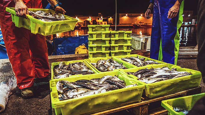 OMC_es's tweet photo. El Presidente del Grupo de Negociación sobre las Normas informa sobre las negociaciones relativas a las subvenciones a la pesca y las próximas etapas #fisheriessubsidies https://t.co/2EhZZ4PzRN https://t.co/AnhIzbd1Bx