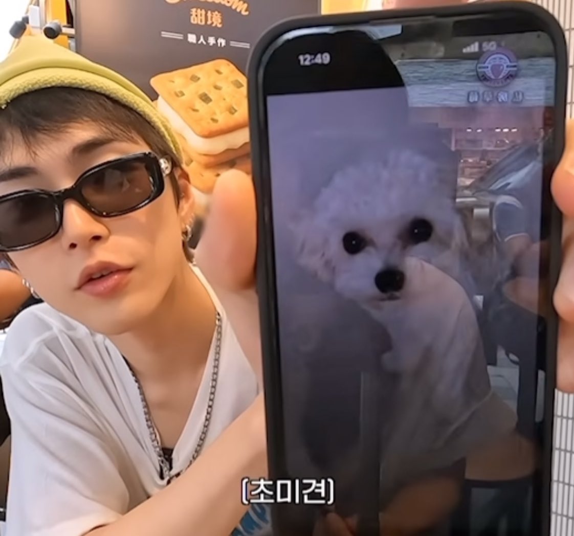 아란 tweet media