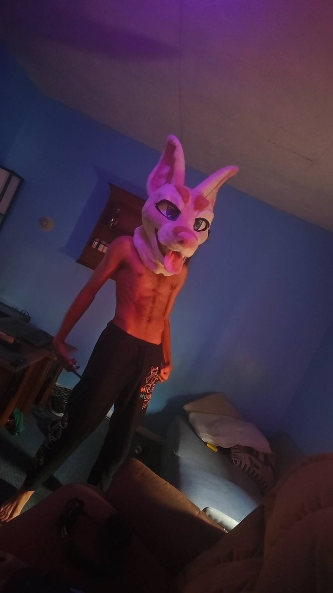 Capncandya55's tweet photo. Hi, former wearer here!! DO NOT PURCHASE THIS STOLEN HEAD FROM DOBIEWOLFS. 

LIE: NO LONGER CONNECT WITH THEM: You haven't had ownership for two years, its been paid for in full. 

LIE: NEVER BEEN IN NSFW
It has, I've done things in it. :) so many memories with it. 

It did NOT cost the amount they are trying resale it for. :) these pics are recent and with timestamps. 

You may block, but it only looks bad on you. :)