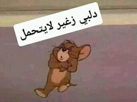 د. اسامـــه tweet media
