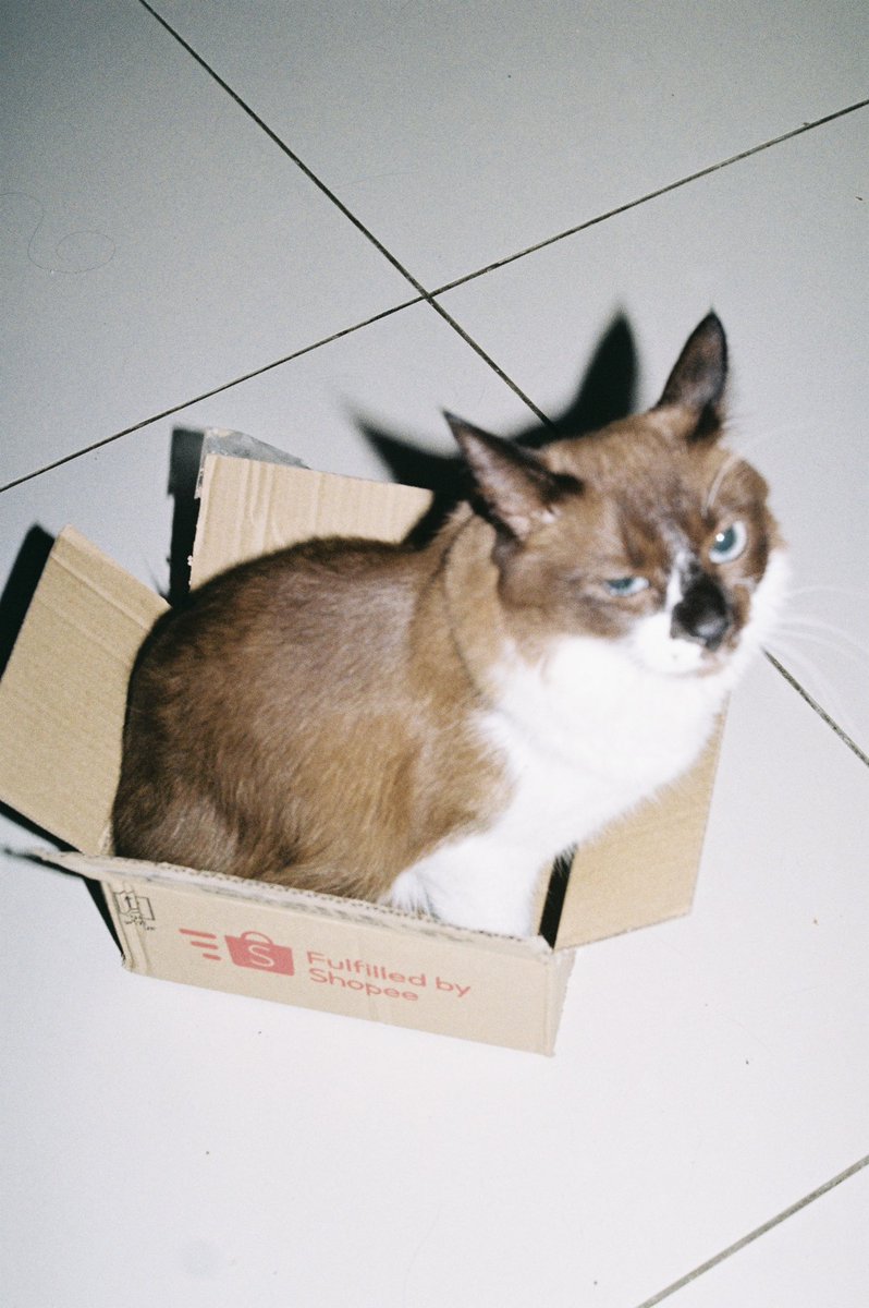 dyeanarose's tweet photo. Barang dah sampai. https://t.co/LXGVxpK04d