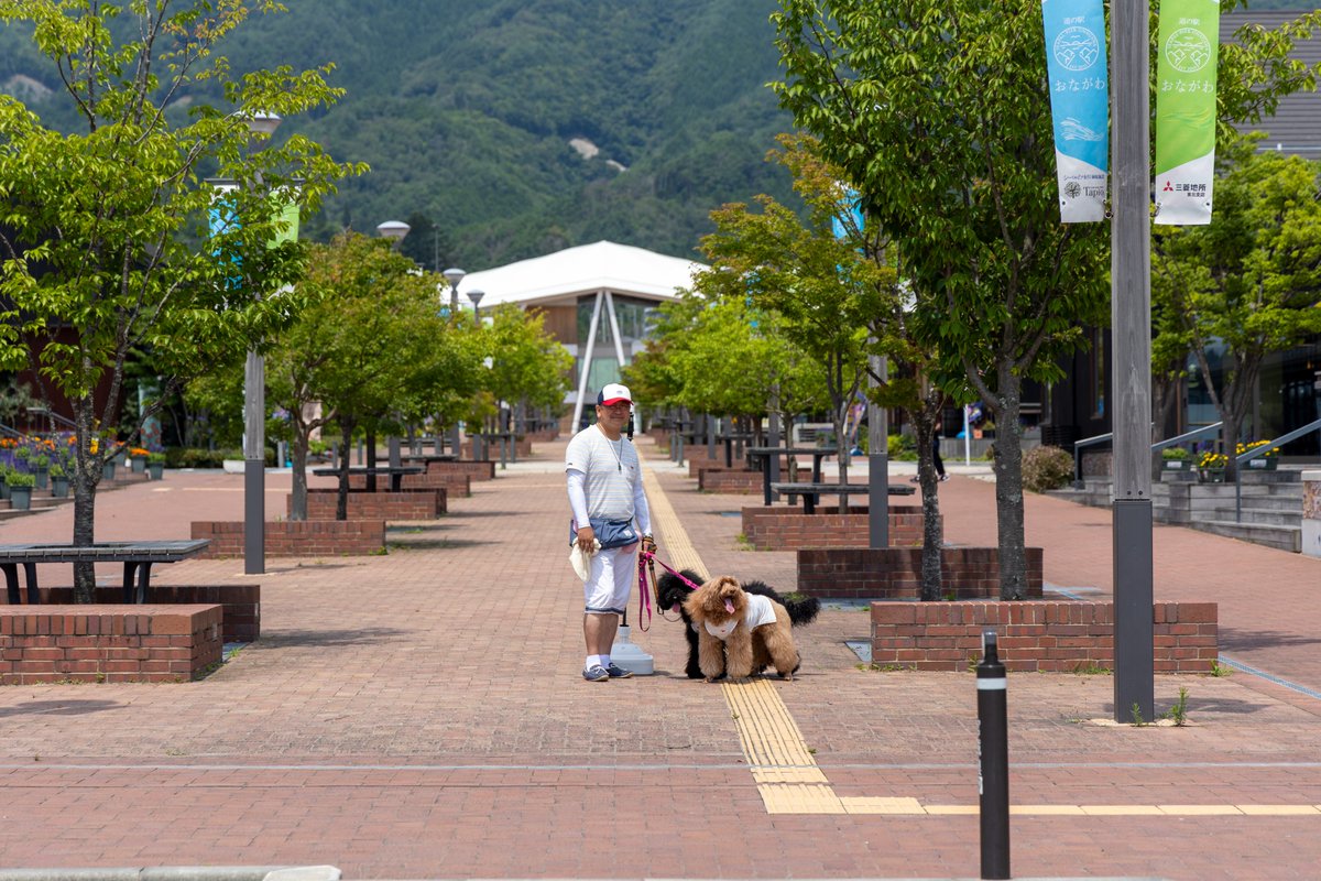 MjEnt_FBS's tweet photo. 女川町

#女川町
#ああ宮城県 https://t.co/2FGym0Q0Jg