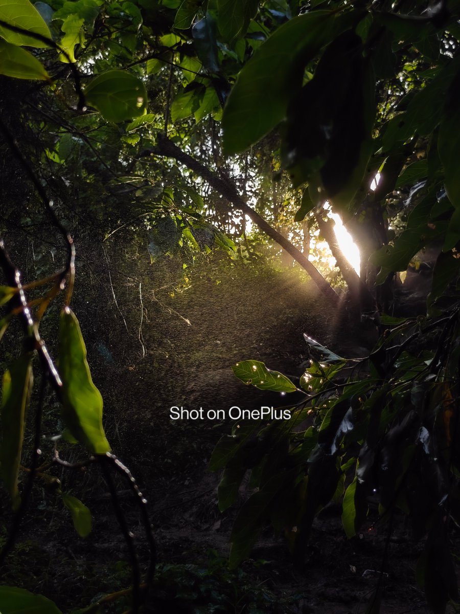 Dreamer__mind's tweet photo. @OnePlus_IN @oneplus https://t.co/8tvM7L03ZN
