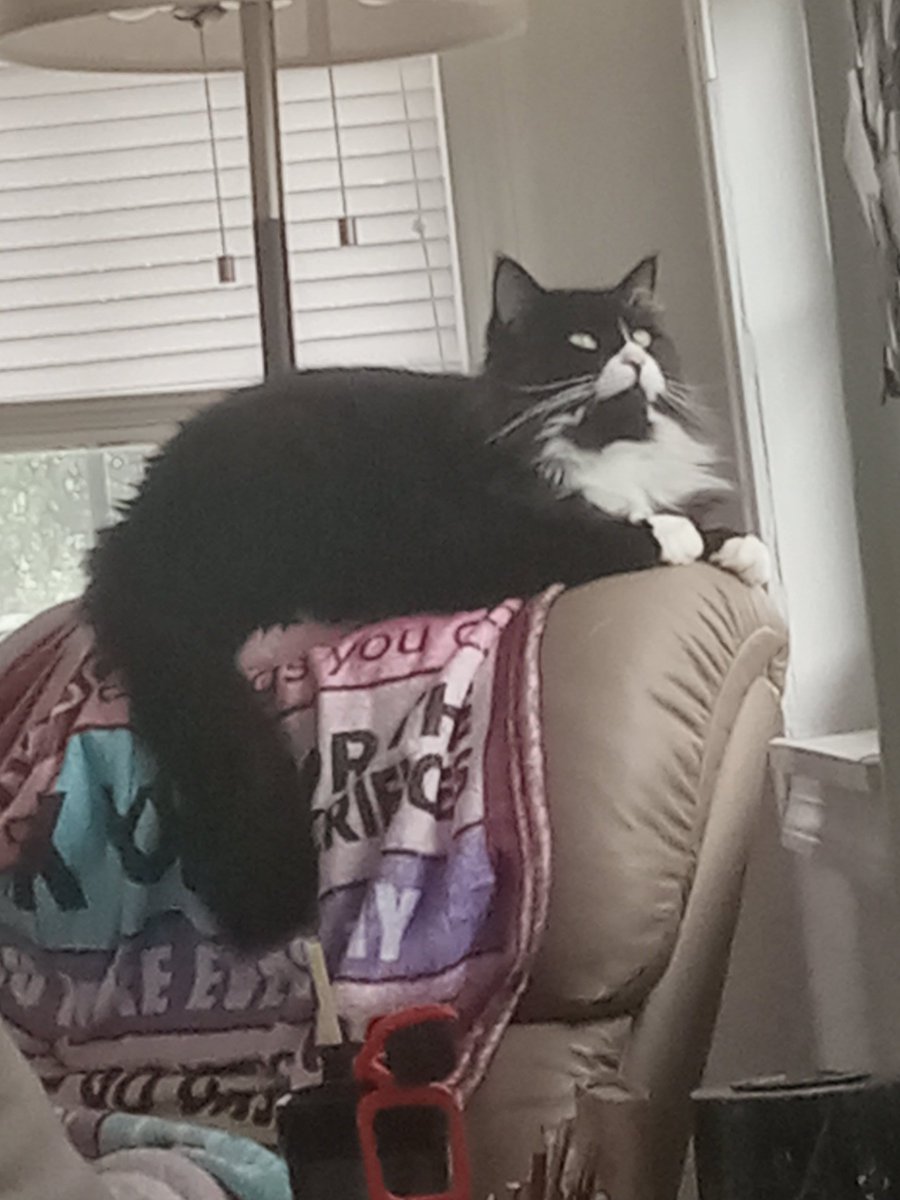 welfoid's tweet photo. @alleyrat0 HER NAME IS MAIZE https://t.co/HQeRFyhKc6