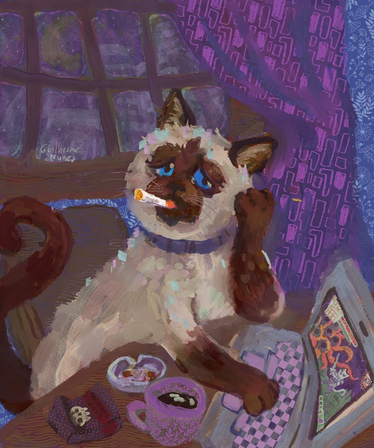 guilhernunes_'s tweet photo. cat logs into online game after years, but there is no one else on the server https://t.co/o37OK23580