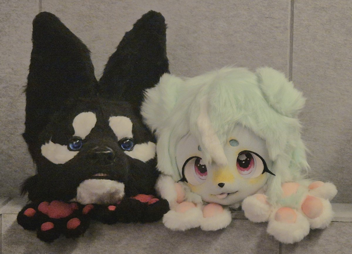 furoka0107's tweet photo. 전달■■완료■ 귀여워■■! https://t.co/CbtF45hled