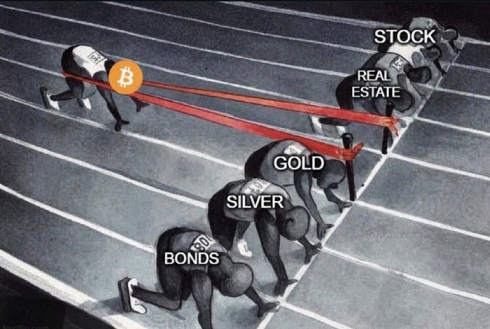 mrbitcoinmaxi's tweet photo. What else will keep up with bitcoin? 🤔 https://t.co/4MYmi6i25b