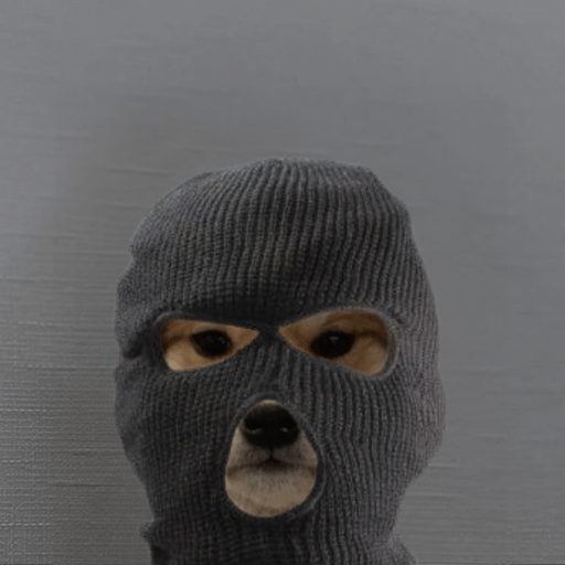 100xSlapped_'s tweet photo. no face no case rob the hood robin https://t.co/cpBBmtE9y5