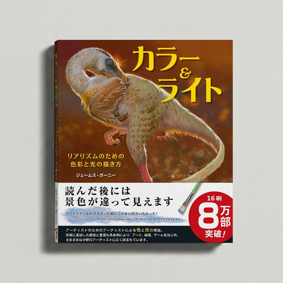 ˏˋ16刷🎊8万部突破！ ˎˊ˗ ￣￣￣￣￣￣￣￣￣￣ 『カラー&ライト