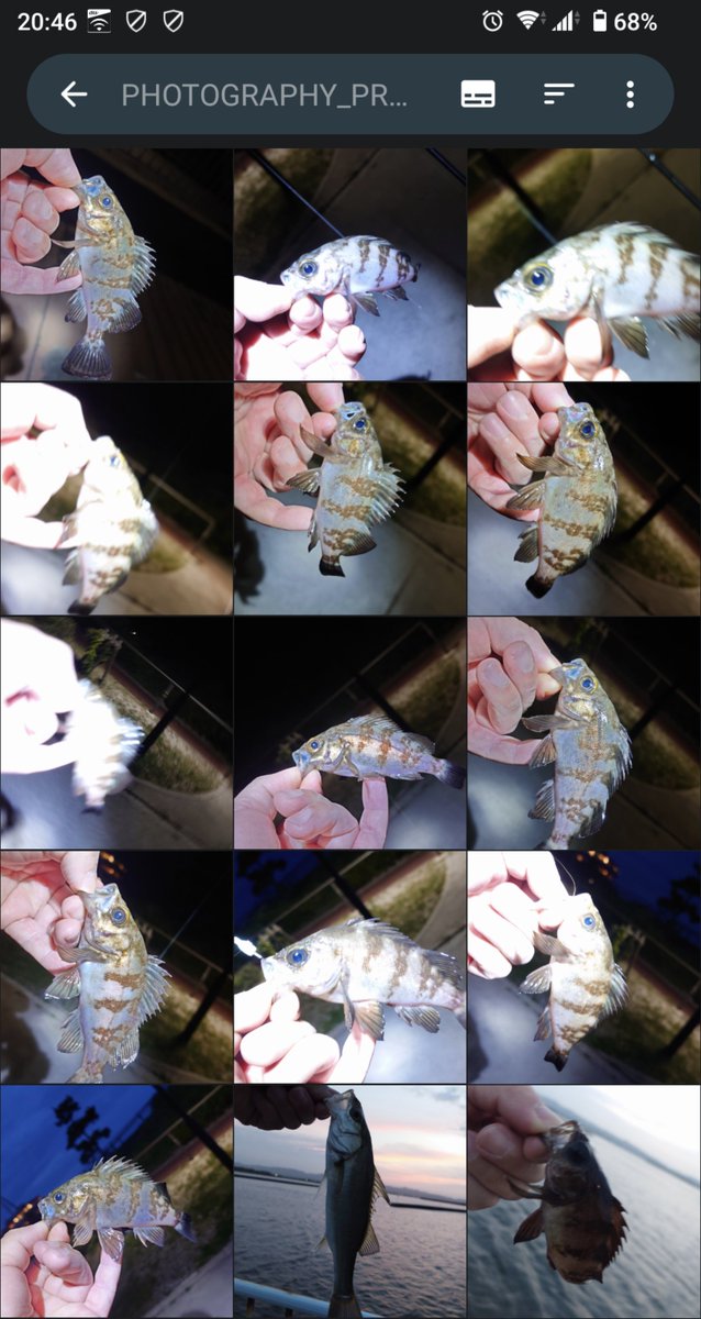 Y_SUS7's tweet photo. キス釣りの餌消化で絶対釣れる釣り！ https://t.co/VItwPOQLag