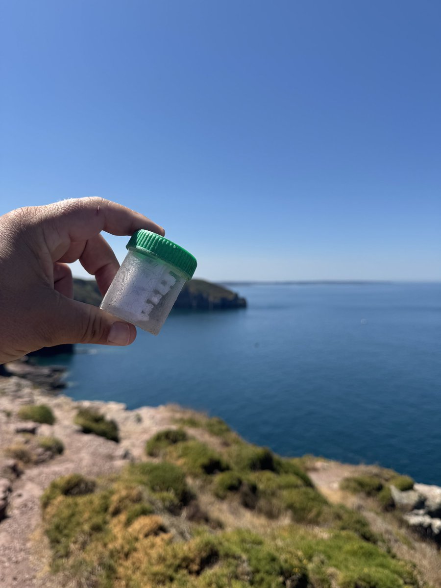 THFCWoutor's tweet photo. Nr 1512 bij Cap Fréhel in Bretagne #geocache #geocaching https://t.co/99PKsiVTUD