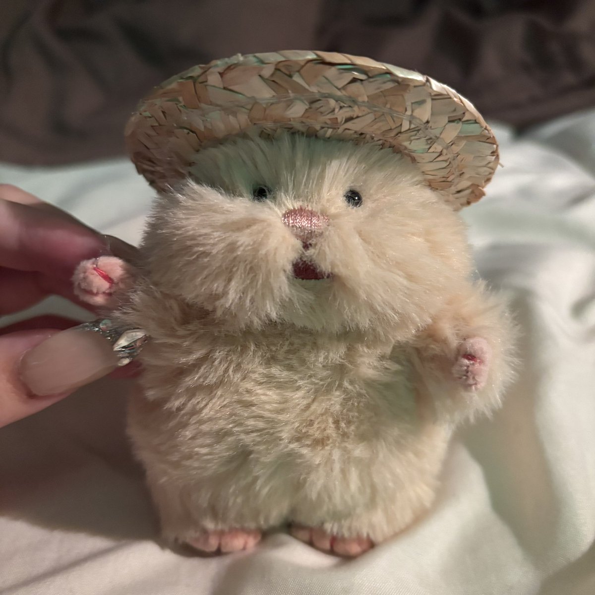 HobbyAm's tweet photo. あたらしいかぞく🐹 https://t.co/tBXV0UMiuj
