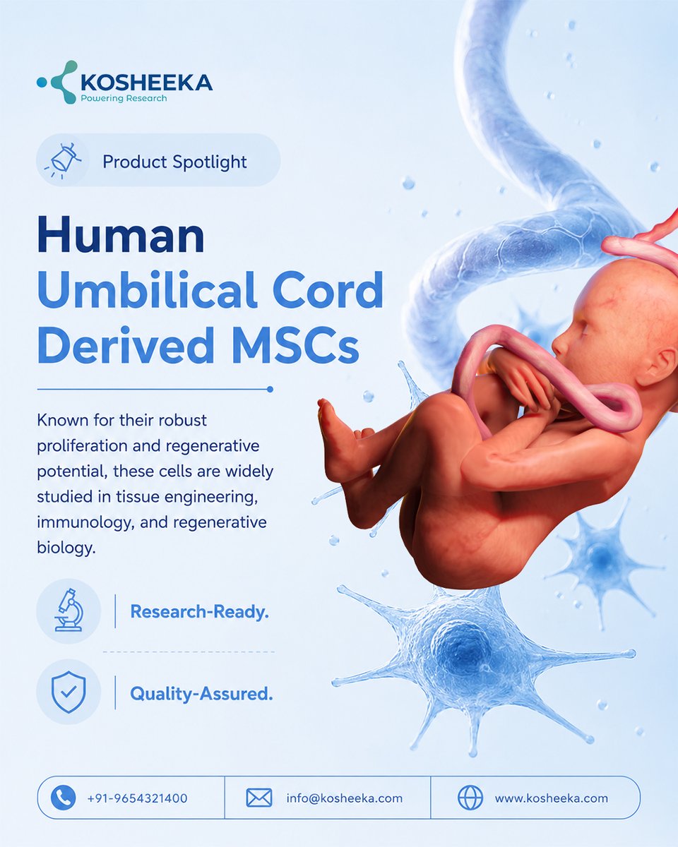 kosheeka's tweet photo. Explore research-grade MSCs that support advanced scientific investigations across multiple disciplines.
#MSCs #StemCells #RegenerativeScience #CellResearch #Kosheeka https://t.co/i7QG9RipMr