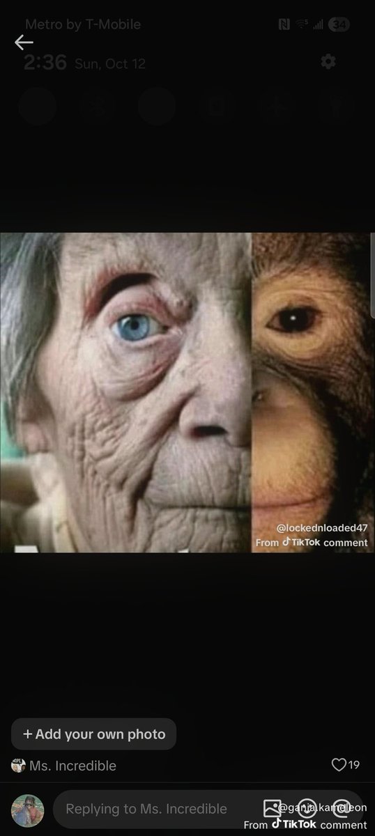DaRealMrOctober's tweet photo. @RepublicanSpurs @Phoenix2A_1980s There's only one bloodline with chimps...look at your memaw https://t.co/LeW8UmR4Re