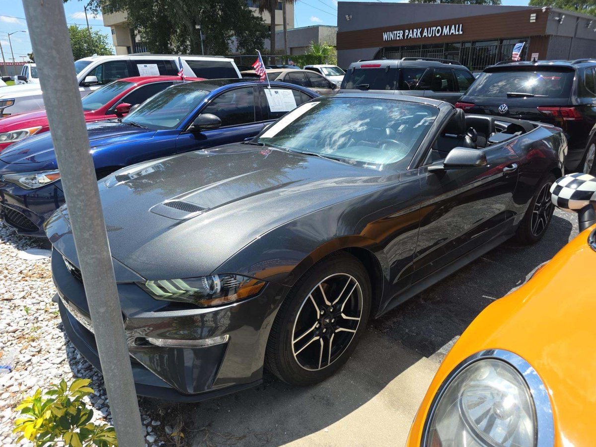 Kinglamarr___'s tweet photo. 2018 Ford Mustang Ecoboost Premium Convertible 
From the US straight to Nigeria!🇳🇬
🏷️: N23.5Million ($16.6K)
(Buying + Shipping)
ETA: 6-8weeks
Contact for details📥 https://t.co/apZq1k1f5R