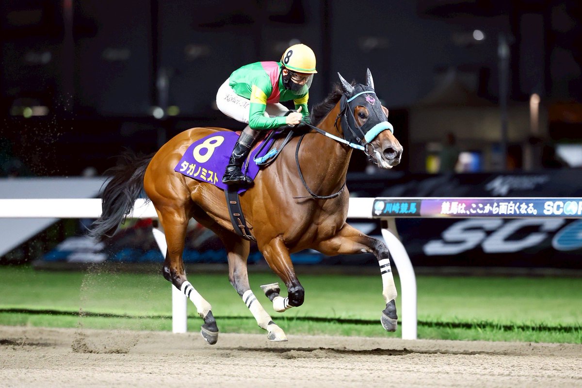 nar_keiba's tweet photo. 【#スパーキングレディーカップ 写真速報】
本日、川崎競馬場でスパーキングレディーカップが行われ、松山弘平騎手騎乗のタガノミストが優勝しました。現地からの写真をお届けします。
競走成績はこちら↓
https://t.co/6KPj4RBfap https://t.co/gS4hjYNCDd