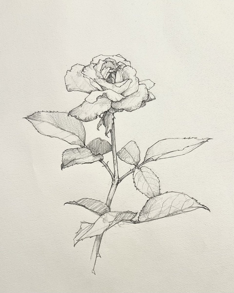 _erika_abe's tweet photo. #sketch https://t.co/zuxPQ1beER