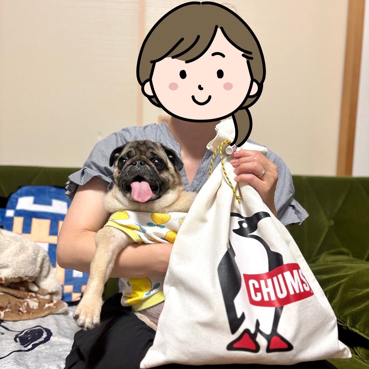 2020_pug_tsune's tweet photo. きょうはいっしょにすんでるおんなの
ニンゲンののおたんじょうびだから
おいわいしてあげただぁよ。
これからもおげんきにすごすがいいでよ。
カーッ！

#パグ #pug https://t.co/h7ObmAwkAN