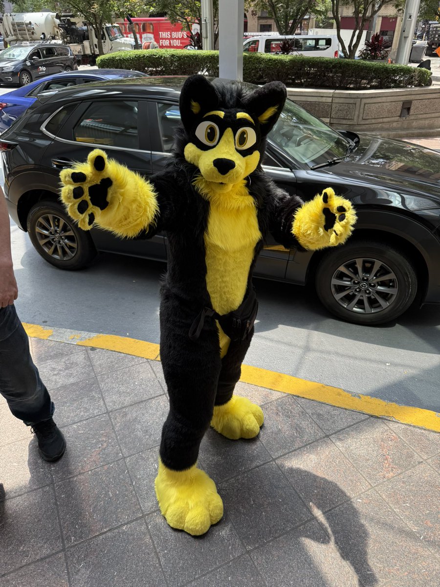 Thus begins the Great Pic Dump of #Anthrocon2026! Tag anyone whom