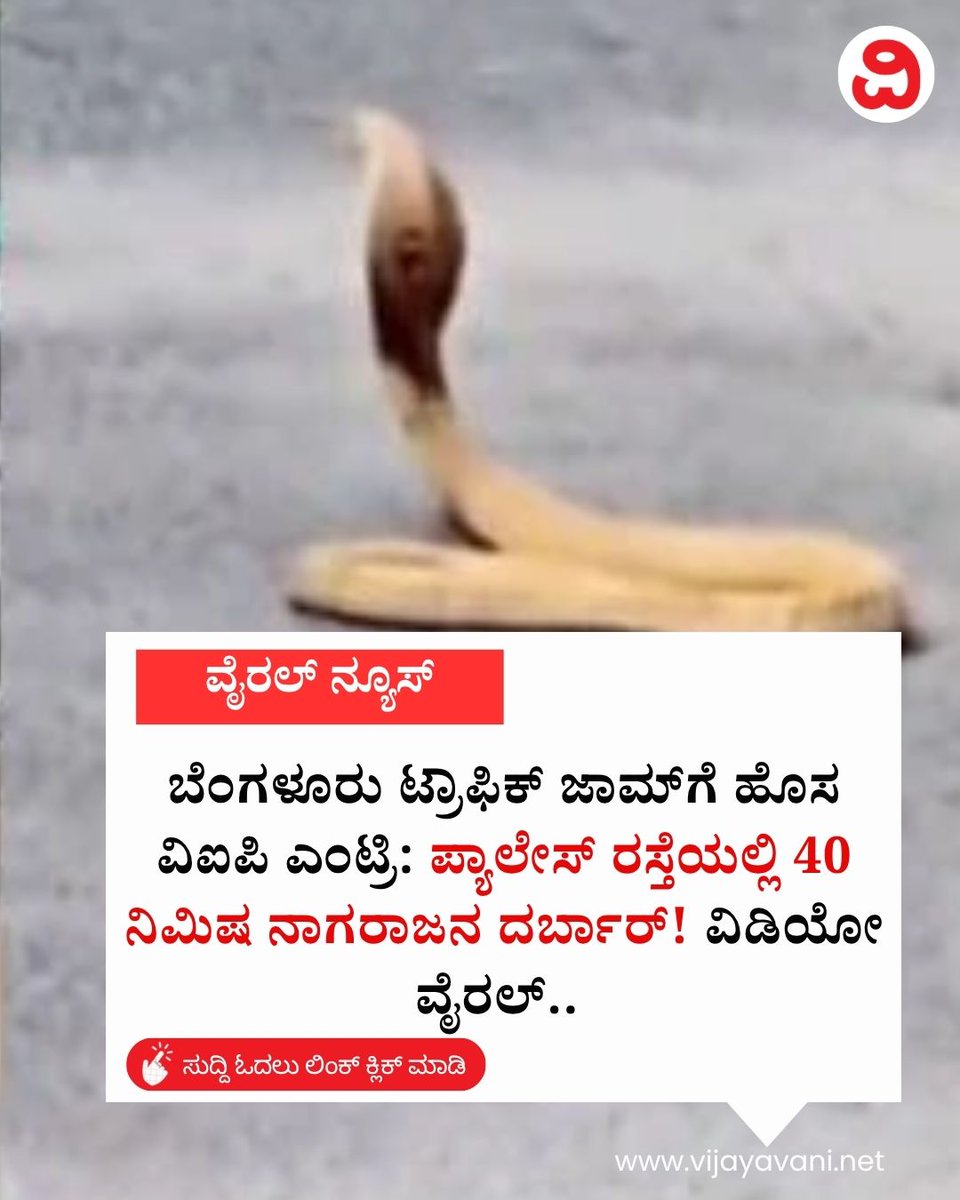 Vijayavani_Digi's tweet photo. ಬೆಂಗಳೂರು ಟ್ರಾಫಿಕ್ ಜಾಮ್‌ಗೆ ಹೊಸ ವಿಐಪಿ ಎಂಟ್ರಿ: ಪ್ಯಾಲೇಸ್ ರಸ್ತೆಯಲ್ಲಿ 40 ನಿಮಿಷ ನಾಗರಾಜನ ದರ್ಬಾರ್! ವಿಡಿಯೋ ವೈರಲ್​.. Cobra In Bengaluru 
#BengaluruTraffic #PalaceRoad #CobraInBengaluru #ViralVideo #NammaBengaluru #OnlyInBangalore
https://t.co/ovhUsFh8N5 https://t.co/hvI8A8Eors