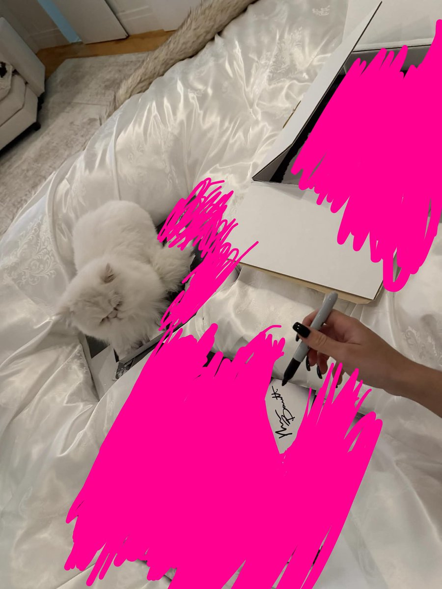 nessacraves's tweet photo. 🚨🚨 Nessa is signing her new album https://t.co/xTRQa0YmaK
